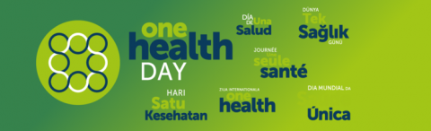 DIA MUNDIAL DA SAÚDE ÚNICA - ONE HEALTH DAY DIA MUNDIAL DA SAÚDE ÚNICA - ONE HEALTH DAY